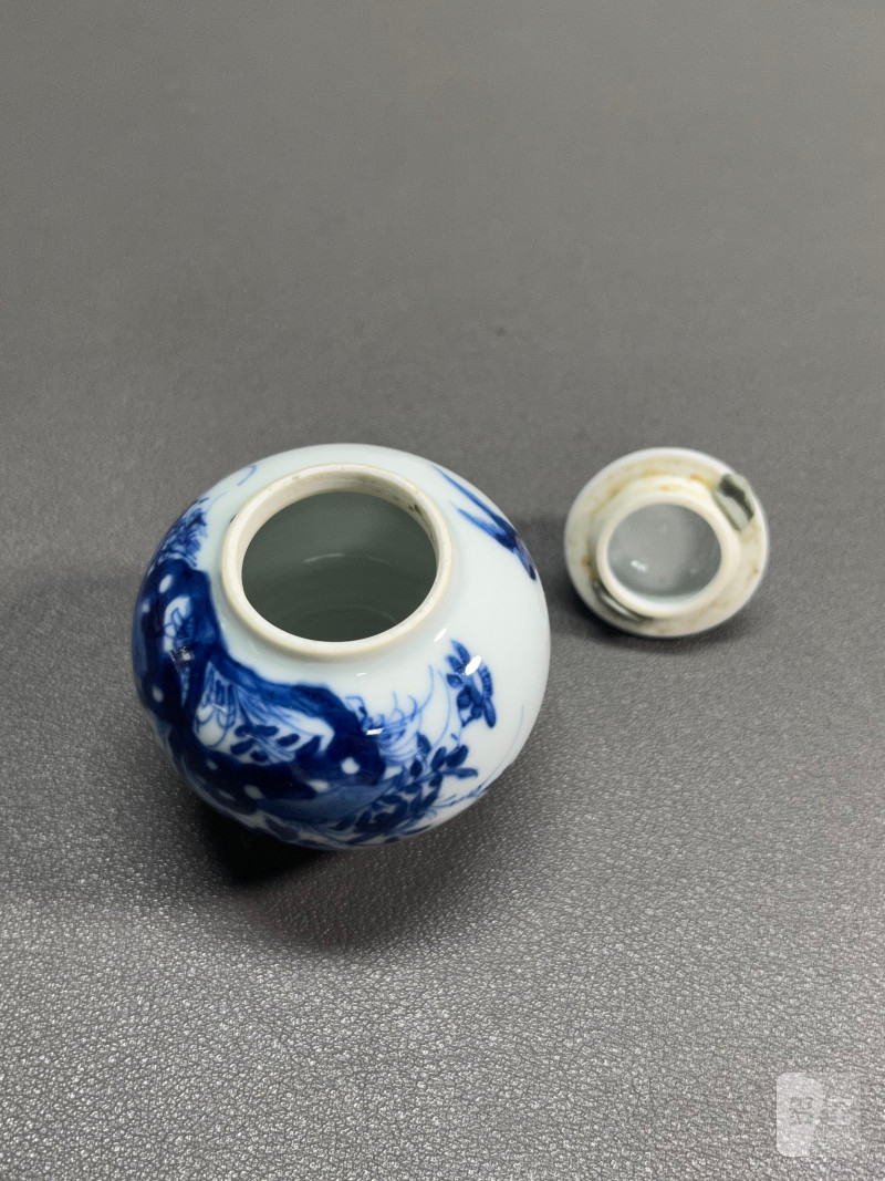 清康熙  青花虫草纹小盖罐 - 图10